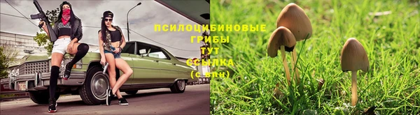 MESCALINE Абаза