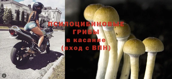 MESCALINE Абаза
