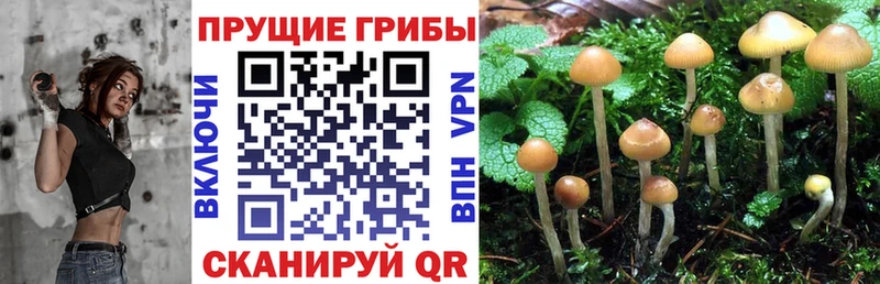 Псилоцибиновые грибы MAGIC MUSHROOMS  Аксай 